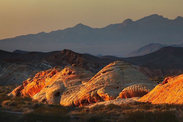 Jones, Adam 아티스트의 Last light on red sandstone or Aztec Sandstone-Valley of Fire-Nevada작품입니다.
